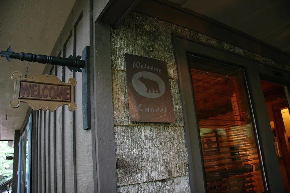 Black Bear Lodge Of Sapphire Екстер'єр фото